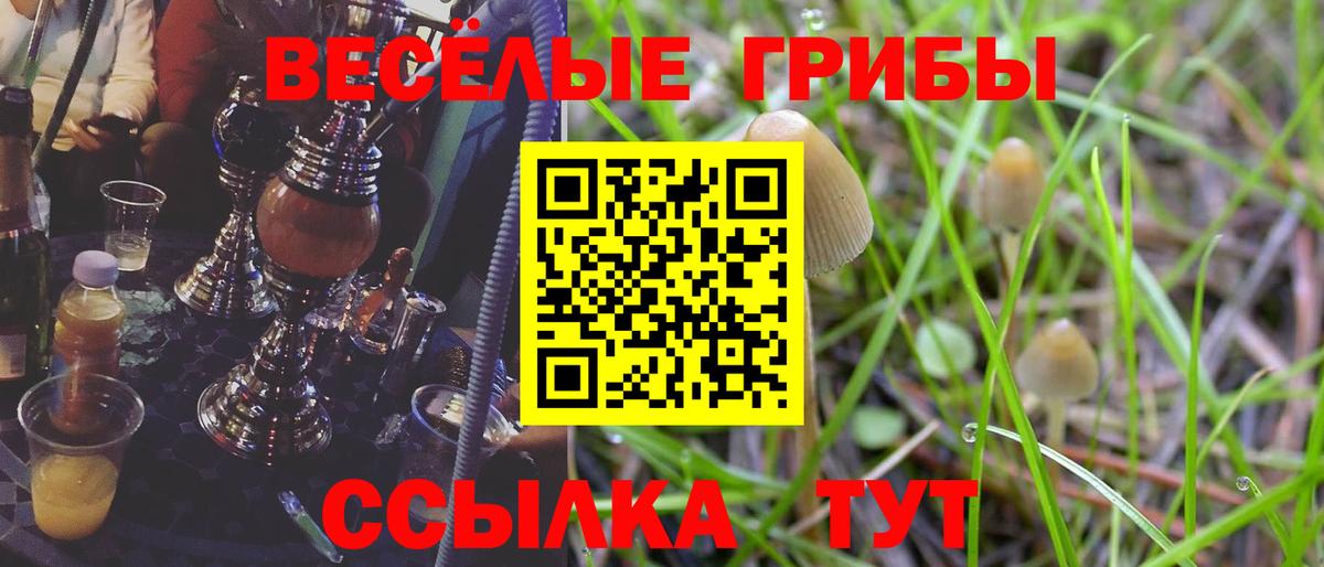 Галлюциногенные грибы GOLDEN TEACHER  Вход с VPN  Касимов  Галлюциногенные грибы прущие грибы 