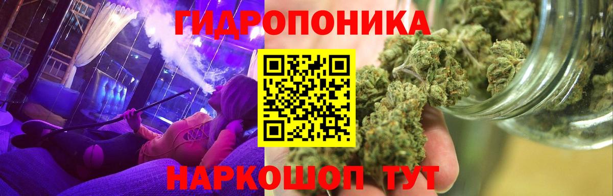Каннабис White Widow  Бошки Шишки гибрид  Вход с VPN  Каннабис семена  Касимов 